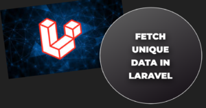 Read more about the article Fetch unique data in laravel