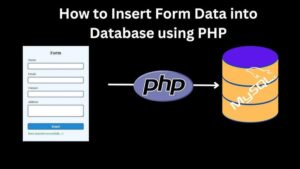 Read more about the article Data Insert Using PHP