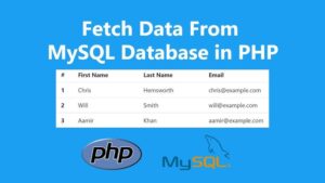 Read more about the article Data Fetch Limit Using PHP