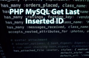 Read more about the article Last Inserted ID Using PHP