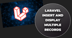 Read more about the article Laravel insert and display multiple records