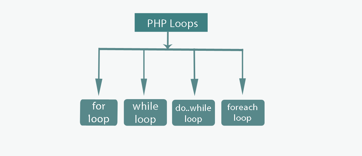 Read more about the article Loop in php