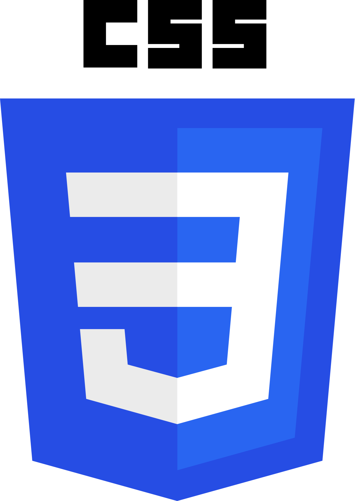 Read more about the article css curve