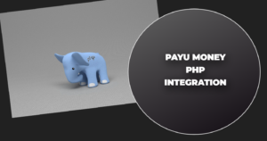Read more about the article Payu money php integration