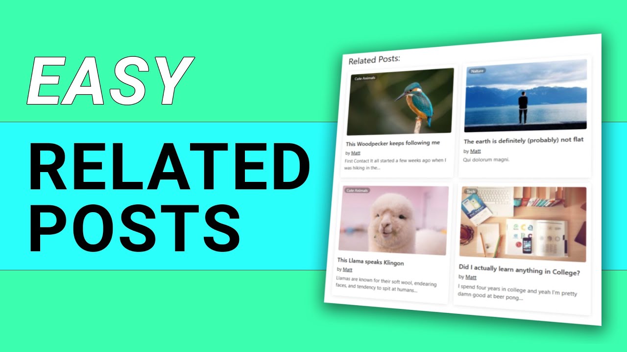 Read more about the article Related Post in wordpress custom theme